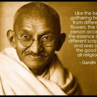 Celebrate Life with Gandhi  