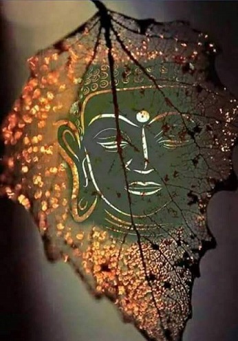 SuyNgam TruongThanhTrongNhaPhat